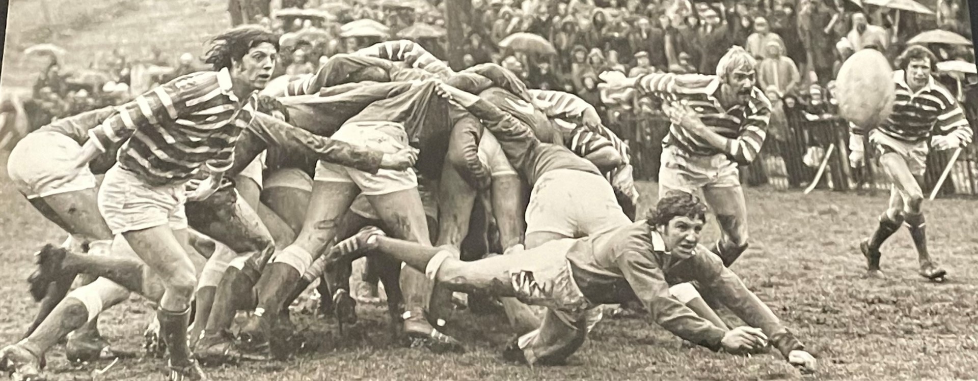 The day Welsh rugby hard men were left in tears as Celtic Warriors were  ruthlessly axed - Wales Online